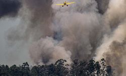 İspanya'daki Orman Yangınları Söndürülemiyor