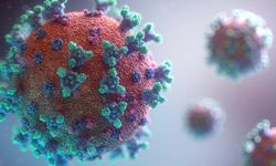 Koronavirüsün semptomları değişti mi?