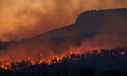 “Orman Yangınlarının Yüzde 87’si İnsan Kaynaklı”
