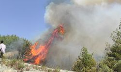 6 noktada çıkan yangın söndürüldü, ormanları yakan şüpheli yakalandı