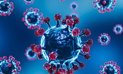’Virüsün Bulaştırıcılık Katsayısı 20 Kat Arttı’