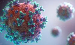 Çin'den Yeni Ölümcül Virüs Haberi: 35 Kişide Tespit Edildi