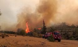 Mersin'de orman yangını çıktı