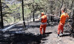 Manisa'daki iki yangın kontrol altına alındı