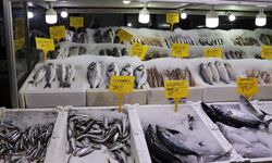 Kahramanmaraş'ta Balık Fiyatlarıyla İlgili Yeni Gelişme