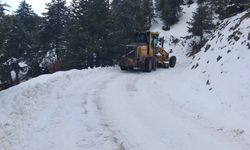 Kahramanmaraş'ta Kar ve tipiden kapanan yollar açıldı