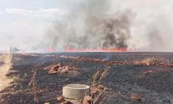 Kahramanmaraş'ta buğday tarlasında yangın