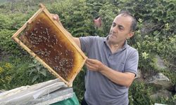 Anzer Balı’nın bu yılki kilogram fiyatı belli oldu