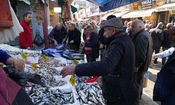 Palamut Bolluğu Herkesi Şaşırttı!