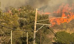 Los Angeles'da evi yanan Türk konuştu!