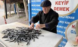 Havaların soğumasıyla birlikte balık fiyatları ucuzladı!