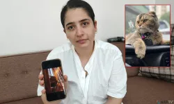 Kayıp kedi bulunmazsa kocası boşayacak.