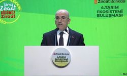 Bakan Şimşek'ten ekonomi mesajı!
