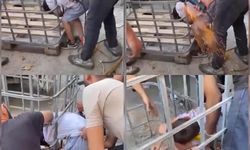 Kafese sıkıştı, yardımına işçiler yetişti.