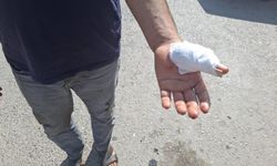 Kahramanmaraş'ta acemi kasaplar hastaneye koştu.