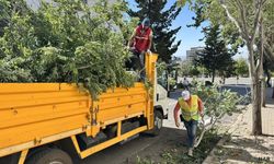 110 Km’yi aşan rüzgâr hasara yol açtı, ekipler sahada.