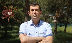 Kenelerin artışının nedeni ortaya çıktı.