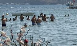 Tatile gidecekseniz Dikkat! Dolandırıcılar bunu da yapıyor.