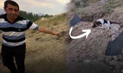 Mezar başında vefa nöbeti.