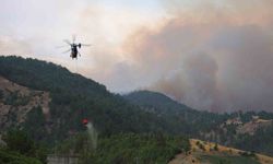 Kahramanmaraş'ta yangına havadan karadan müdahale sürüyor.