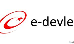 E-Devlet’te Teknik Aksaklık: Kullanıcılar İşlem Yapamıyor