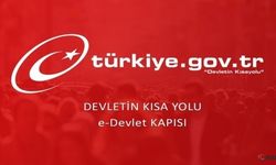 E-Devlet’te Teknik Aksaklık: Kullanıcılar İşlem Yapamıyor