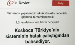 E-Devlet’te Teknik Aksaklık: Kullanıcılar İşlem Yapamıyor