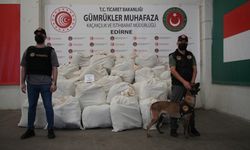 Kapıkule’de boya kutularında 692 kilo esrar ele geçirildi: 10 kişi gözaltında.