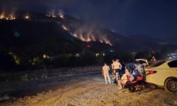 Orman yanıyor, onlar izliyor: Karabük’te tepki çeken görüntü!