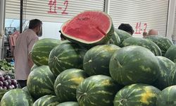 Yapay zeka pazara indi, karpuz seçimine başladı