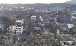 Çanakkale'de villalar kül oldu.