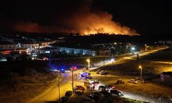 Edirne'de alev alarmı :Evler tehlike altında!