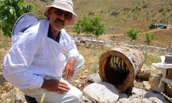 Petek yok, Kovan yok! Kütük’te üretiyor yiyen tadına doymuyor!