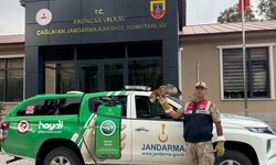 Yaralı Şahin'e jandarmadan şefkat eli.