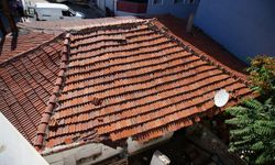 Edirne'de mahallede fare paniği.