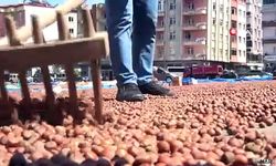 Aracını nakit alıcı bulamayınca fındıkla takas etti.