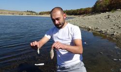 Kütahya'da toplu balık ölümleri tedirgin etti.