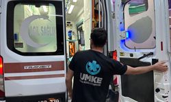 Sokak köpeğinin saldırısına uğrayan bir kişi yaralandı.