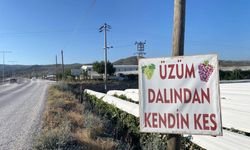 Dalından satışla ekonomiye katkı.