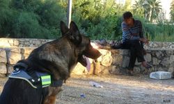 Alkollü kişi kanala düştü, köpeği sayesinde kurtarıldı.