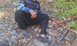 Hayvan otlatırken kayalıklardan düşen gazi kurtarıldı