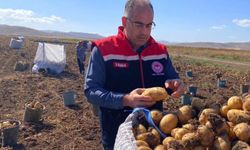 Bayburt’ta patates hasadına başlandı.