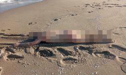 Sakarya’da sahilde çıplak ölü erkek bedeni bulundu.
