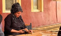 Gaziantep'te kadınların üzüm pekmezli pestil mesaisi başladı