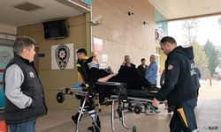 Eşine otomobil kullanmayı öğretirken şarampole uçtular