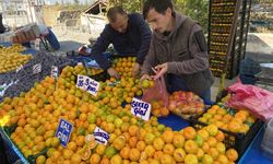 Mandalinanın fiyatı geçen seneye göre yüzde 30 düştü.