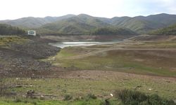 Yalova'nın 20 günlük içme suyu kaldı