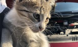 ‘Kontağı çevirmeden kaputa vurun’ uyarısı