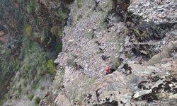 Kayalıklarda mahsur kalan keçiler kurtarıldı