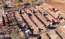 Kahramanmaraş'ta Salep toprakla buluşturuldu.